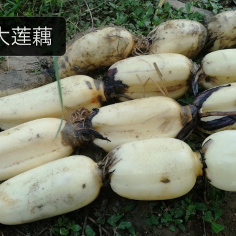 泗阳县富腾商贸