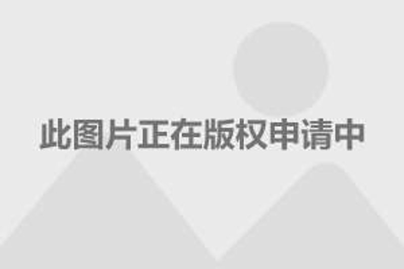泗阳商贸公司：商贸领域的活跃力量